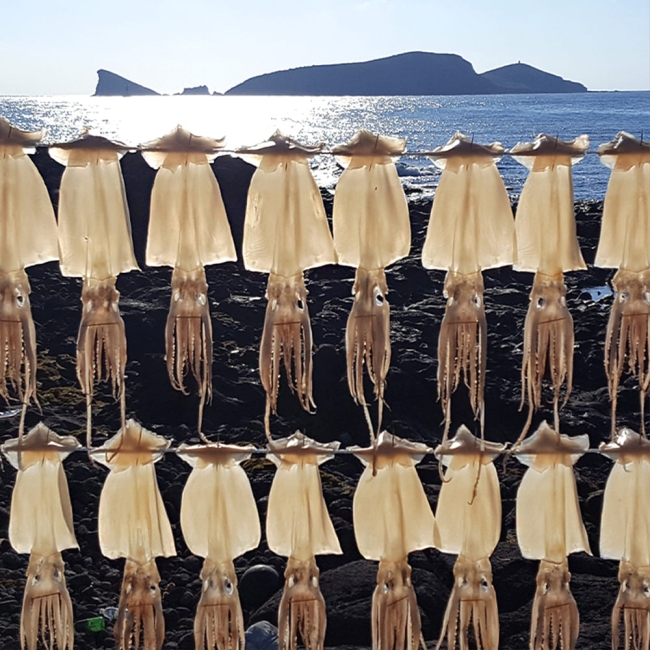 반건조오징어 10미 [350g x 2팩]