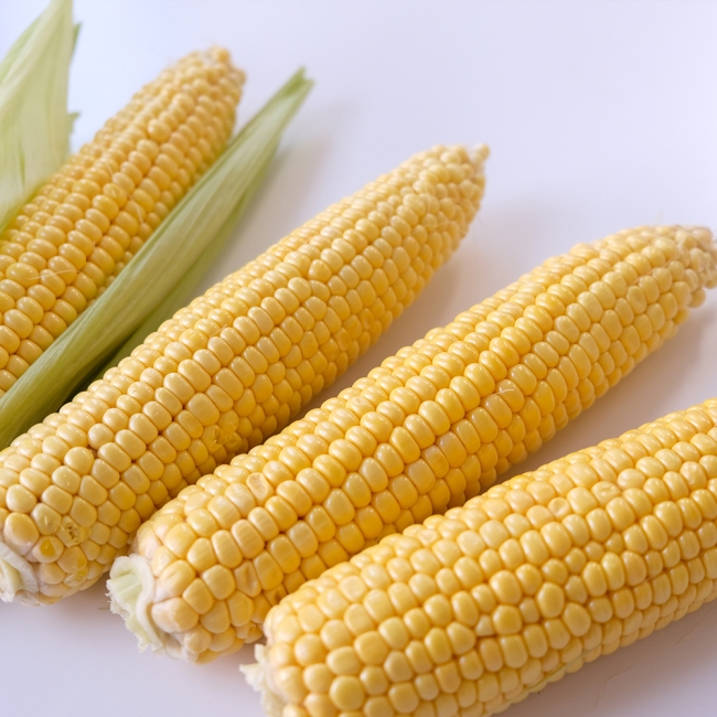 (냉동) 강원도 초당옥수수 (상) 10개입 / 20개입 / 30개입 / 50개입