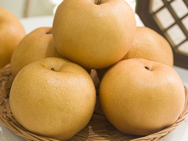 가정용 나주배 3kg (4~7과) / 5kg (5~10과)