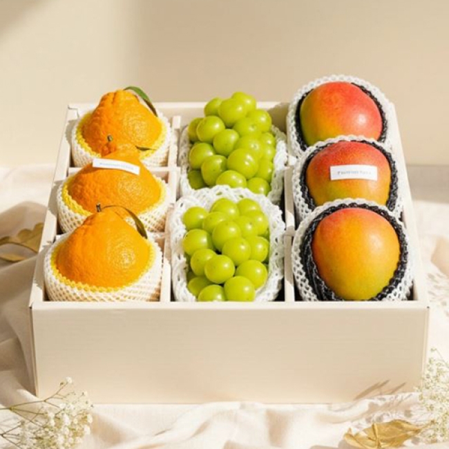 프리미엄 과일 선물세트 5호