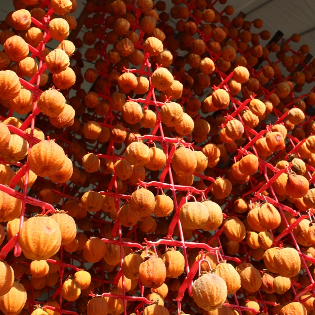 프리미엄 건시 선물세트 1kg(20~28구)+보자기동봉