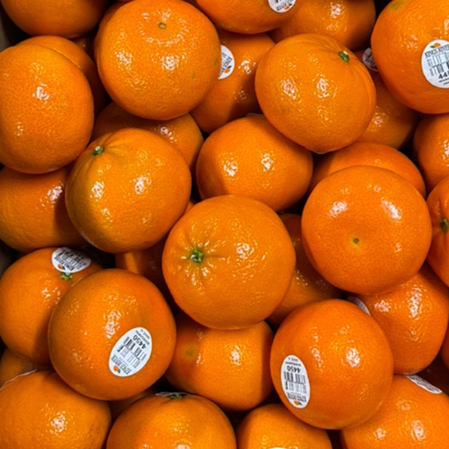 만다린 귤 1kg / 2kg / 3kg / 5kg