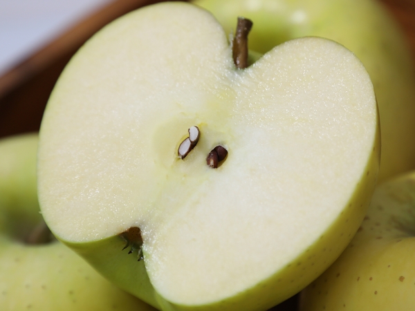 가정용 시나노골드 중대과 1kg (3-4과) / 2kg (6-8과) / 3kg (9-12과) / 5kg (15-20과)