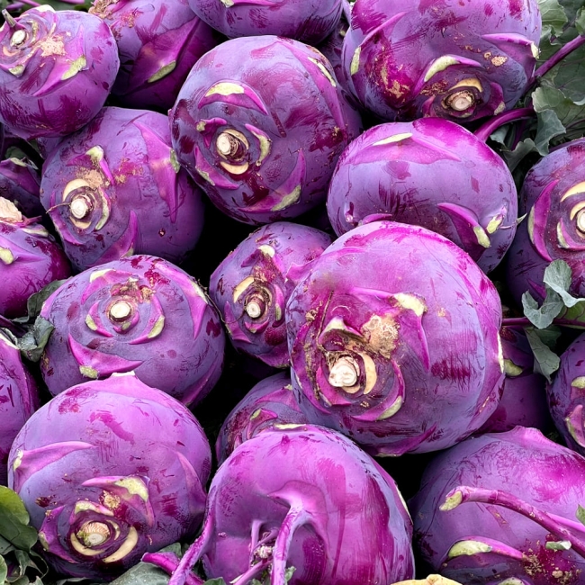 제주 콜라비 (정품 로얄과) 3kg / 5kg / 10kg