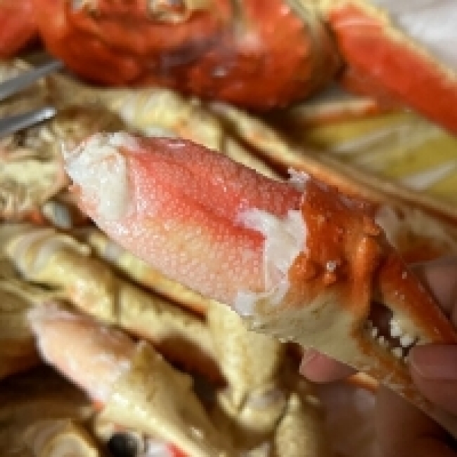 (자숙) 러시아대게