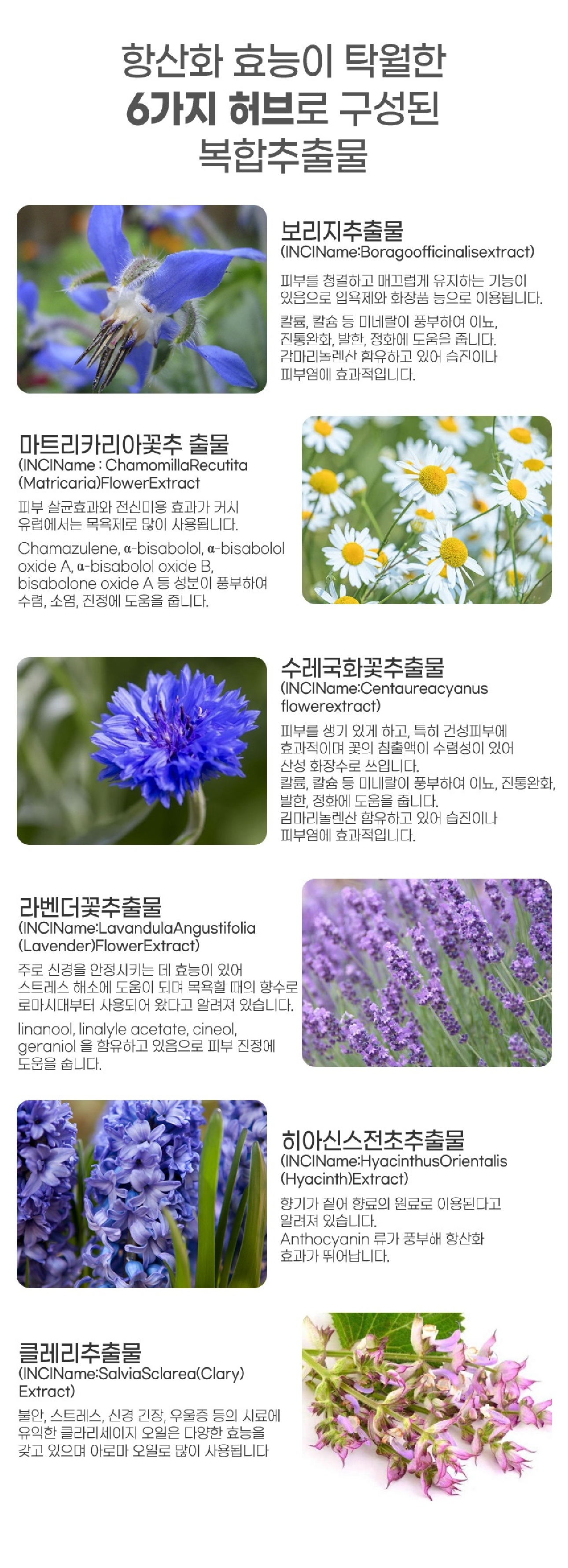 초연화수 라이트 리페어 앰플 15ml x 10병 1세트