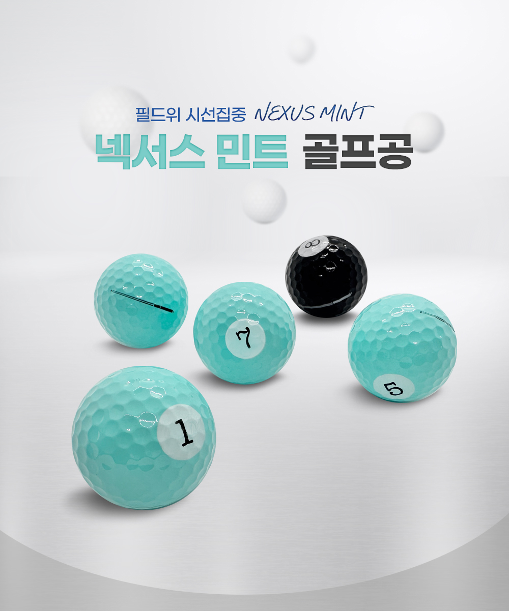 넥서스 민트 골프공 3피스 5구