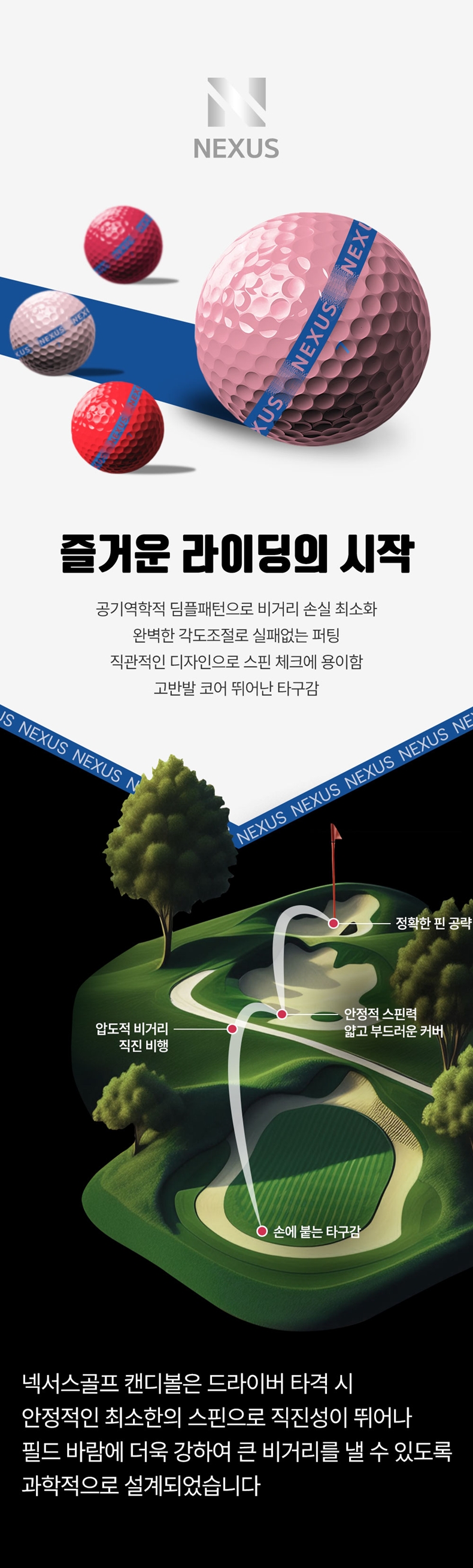 넥서스 골프 더라인 컬러혼합 2피스 12구 고반발 비거리증가