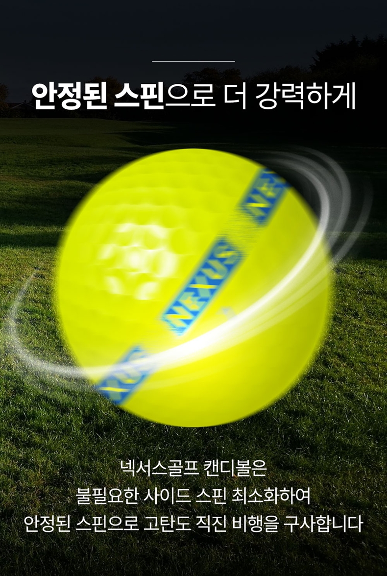 넥서스 골프 더라인 컬러혼합 2피스 12구 고반발 비거리증가