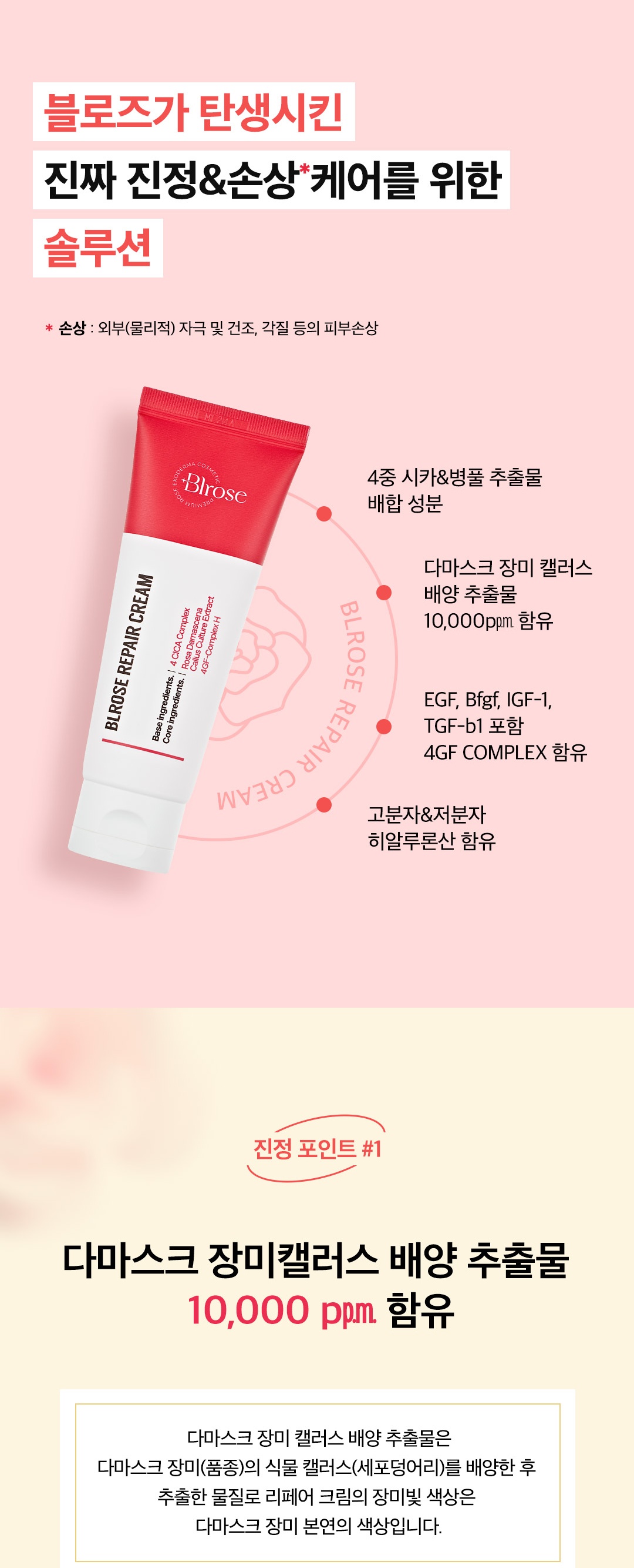 블로즈 EGF 재생크림 시카,장미캘러스,4GF 함유