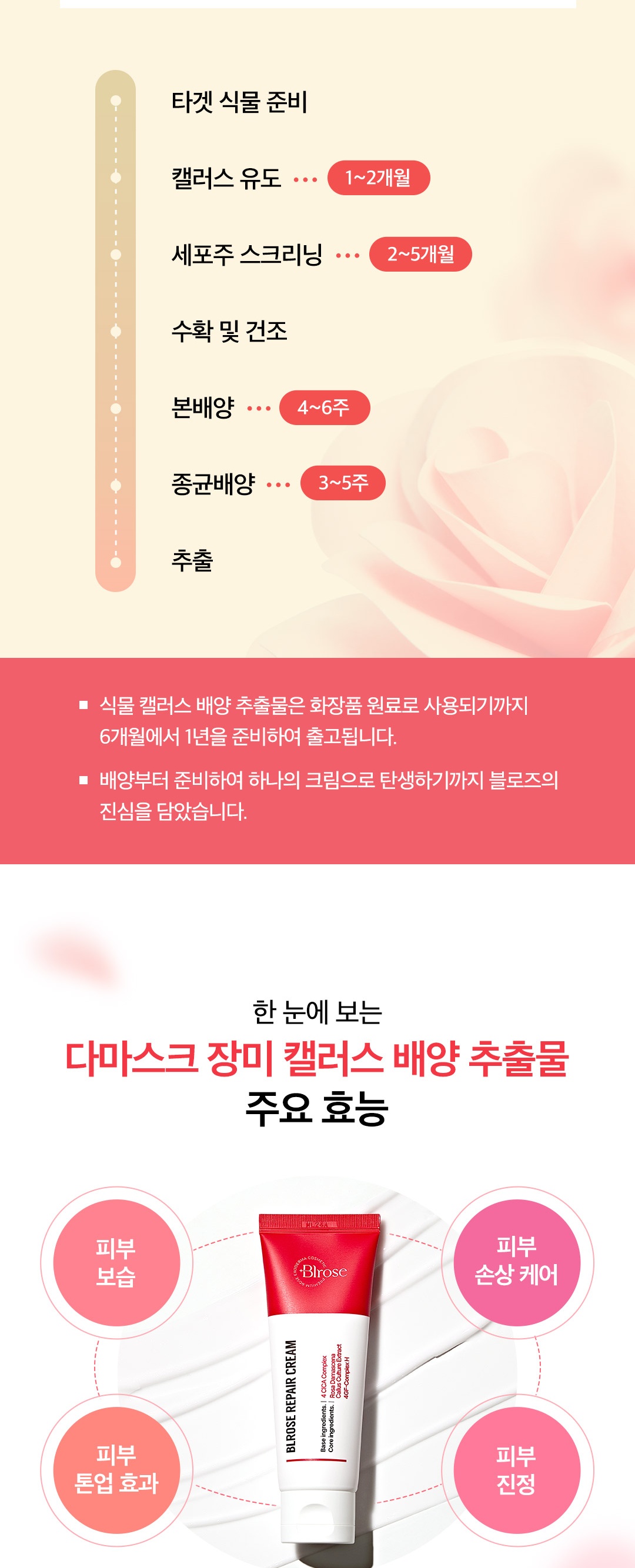블로즈 EGF 재생크림 시카,장미캘러스,4GF 함유