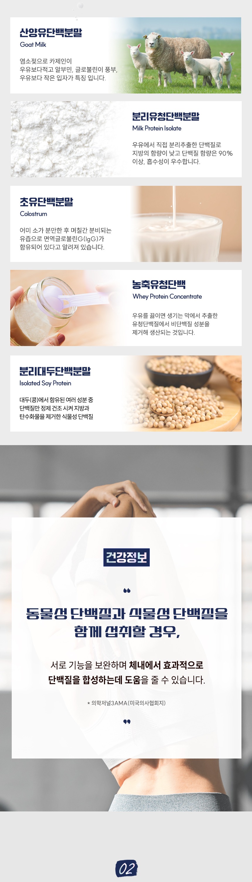 MBP산양유초유단백질